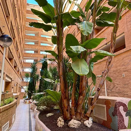 Torremar Living 아파트 *